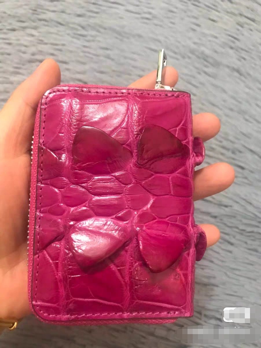 2026 新しいワニ革レディースカードバッグファッションレジ - Women Bags Lv のレビューと価格